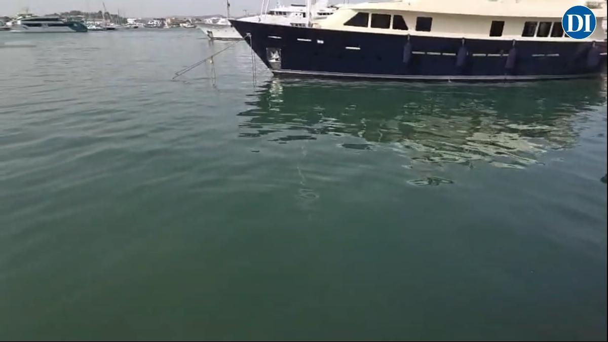 Un nuevo vertido de fecales inunda el puerto de Ibiza de un hedor insoportable