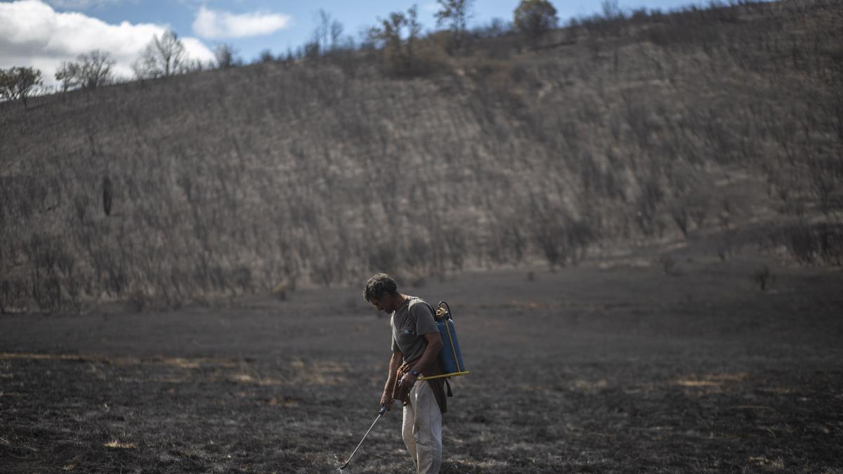 Los vecinos, consternados por el incendio de Lober