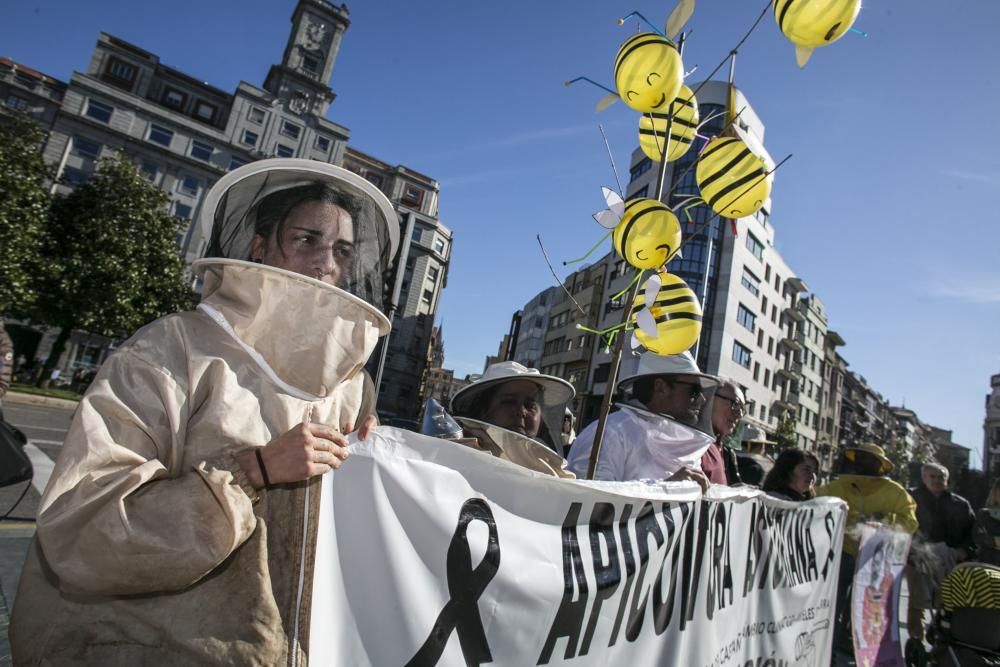 El campo asturiano llena Oviedo con su clamor de cencerros