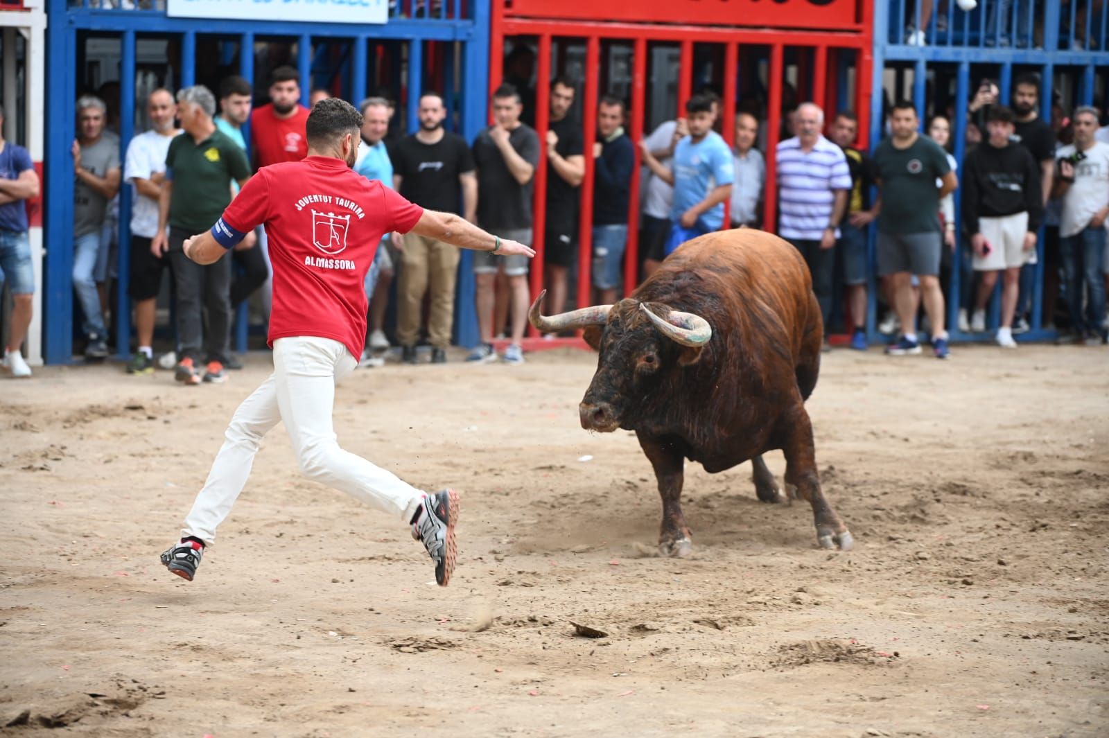 Las mejores fotos que ha dejado la tarde taurina del martes en las fiestas de Almassora 2022