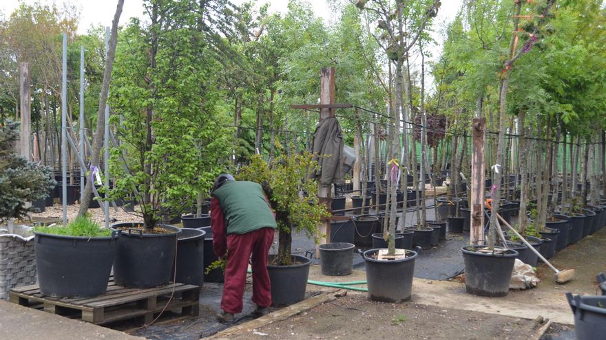 Asprosub Benavente: jardinería con un importante valor social
