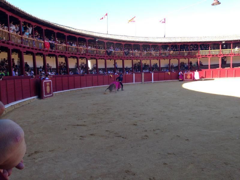 Fiestas en Toro | Becerrada de las peñas