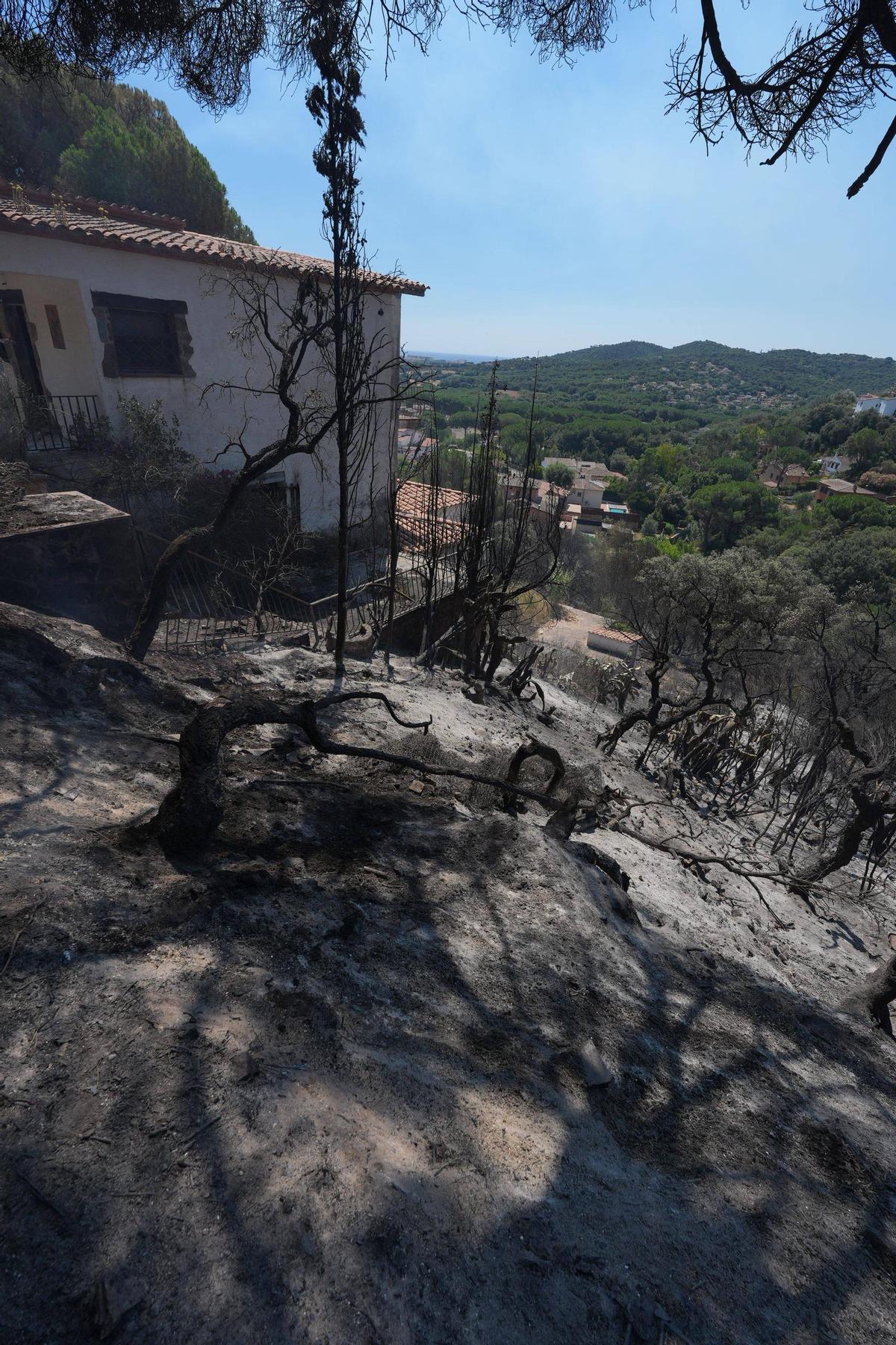 Galeria de fotos: l'incendi de les Gavarres calcina una casa a Calonge Galeria de fotos: l'incendi de les Gavarres calcina una casa a Calonge