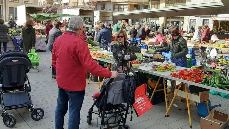 Vila-real promoverá una cooperativa agraria con los alumnos del taller de empleo