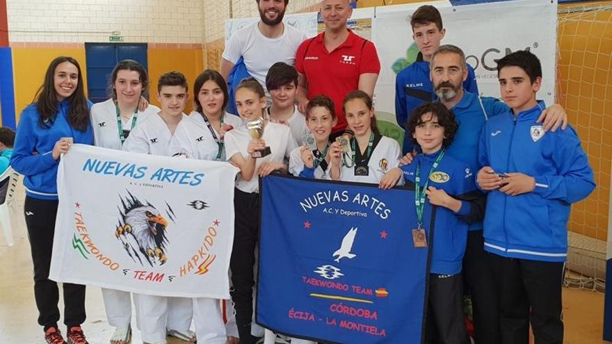 Brillo para el taekwondo cordobés en la cita de La Palma