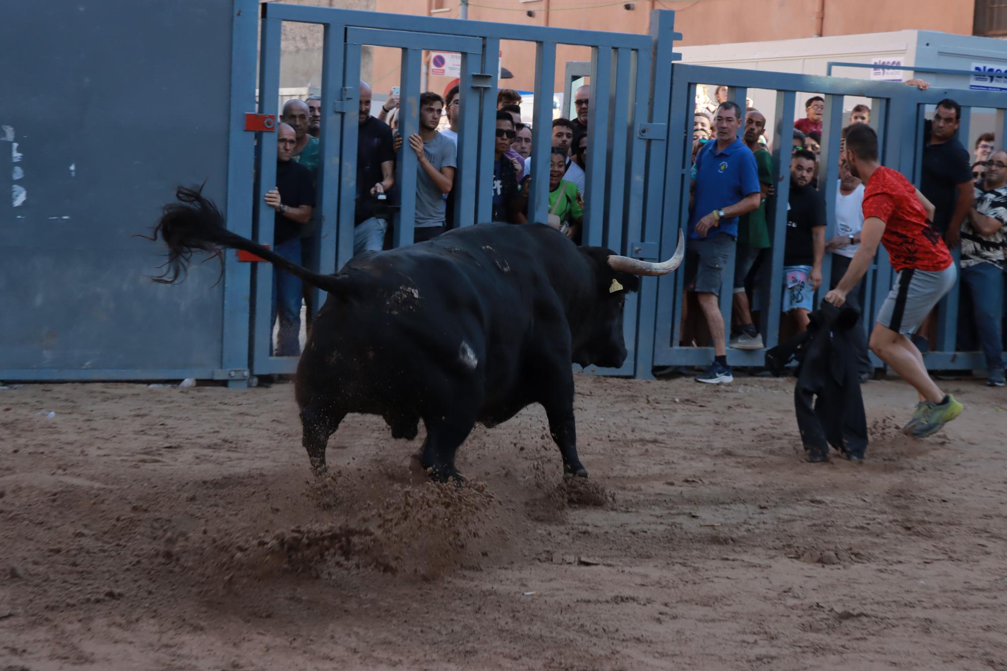 Vila-real galería bous