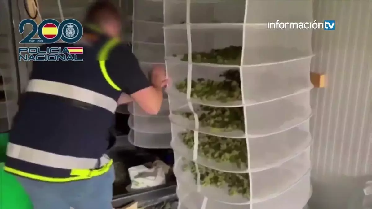 De fábrica de calzado a plantación de marihuana por control remoto en Elche