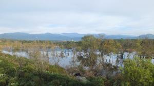 SANT CLIMENT SESCEBES ESTANY LLAMPOL