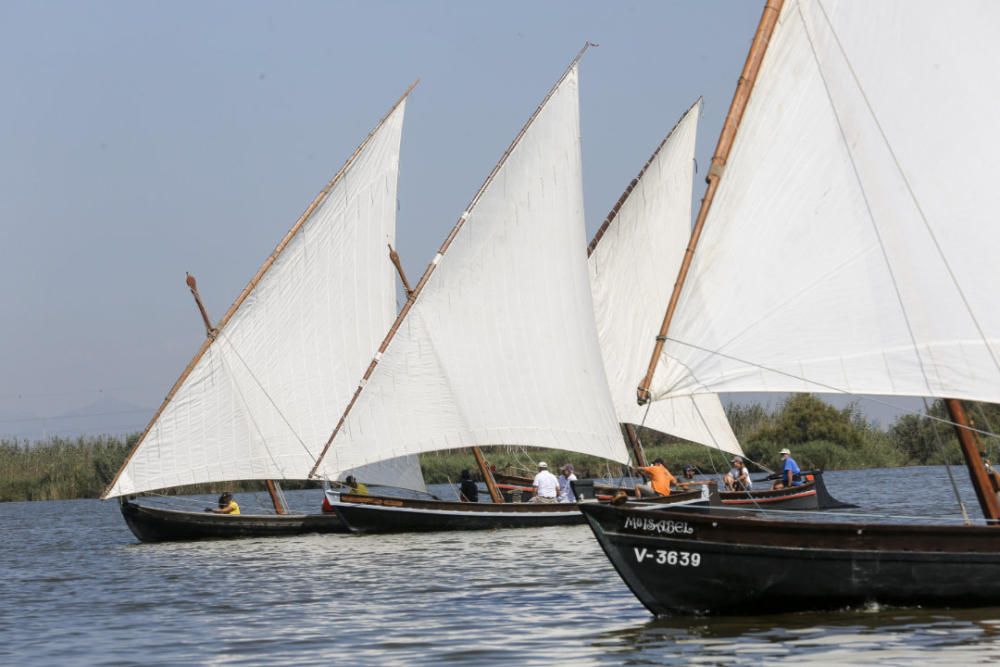 Regata-exhibición de vela latina en l'Albufera