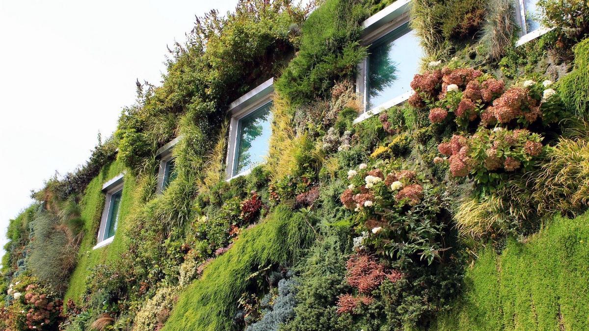 Jardines verticales, otra forma de reverdecer la ciudad