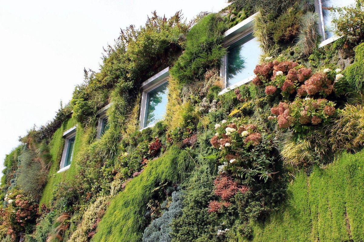 Jardines verticales, otra forma de reverdecer la ciudad