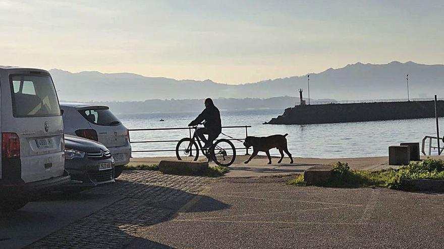 Un ciclista y un perro circulando por el carril-bici en Cangas .   | // G.N.