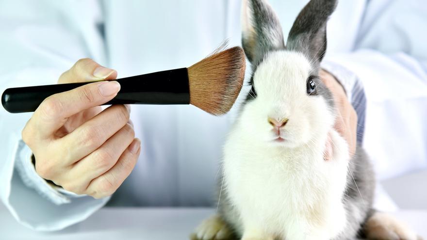 1,4 millones de firmas en la UE piden el fin del uso de animales para ensayar cosméticos
