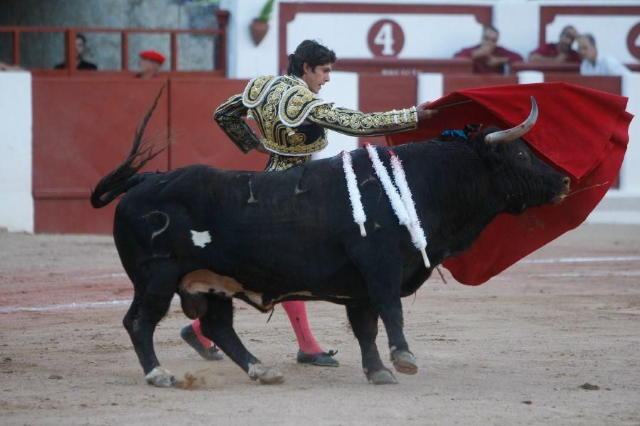 Toros en Zamora