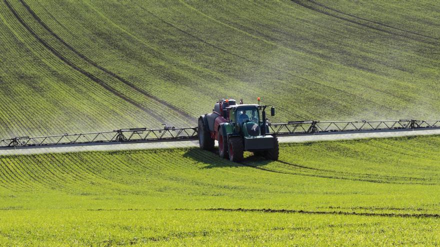 Inversión de más de 1.000 millones en una planta de amoniaco verde en el Puerto de Castellón