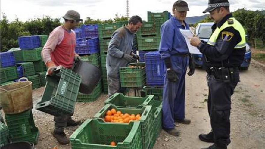 Vila-real salda su campaña contra los robos en el campo sin detenciones