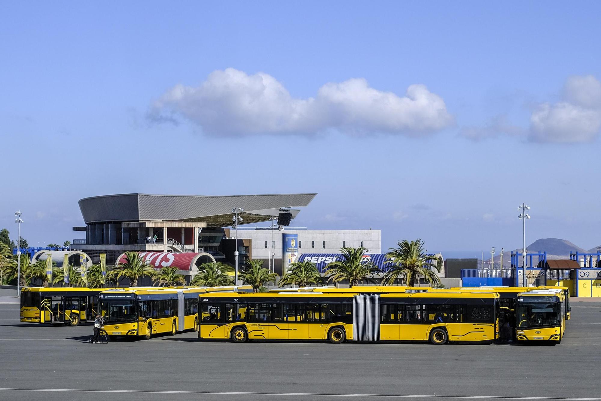 Guaguas Municipales presenta 15 vehículos de 18 metros que circularán en las líneas 12, 17, 33 y 91