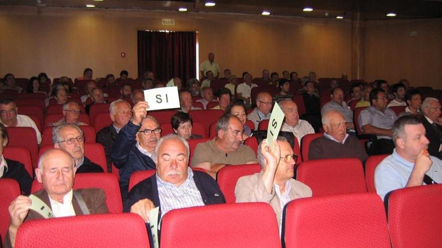 Algunos de los asistentes a la asamblea general de la Asociación Forestal de Galicia, en O Rosal.