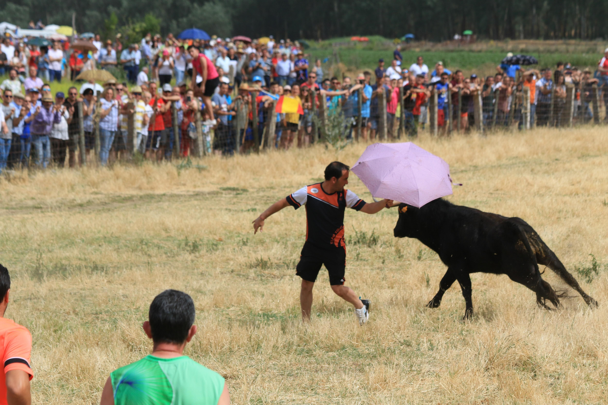 GALERÍA | Encierro mixto en Vadillo de la Guareña