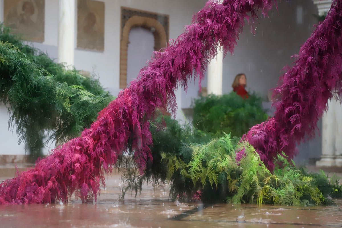 Córdoba Flora 2022 Maurice Harris Museo Arqueológico