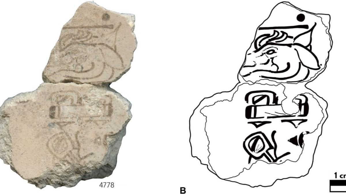 Detalle del fragmento recolectado, con el signo del día 7 (Venado) que corresponde al calendario sagrado maya, y dos signos jeroglíficos en una columna vertical.