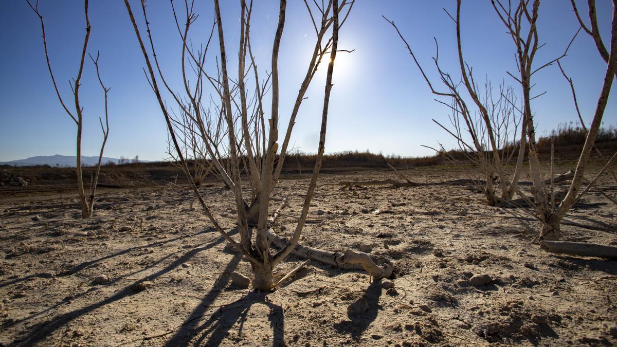 Terrenos afectados por la sequía en una zona de las tres comarcas.