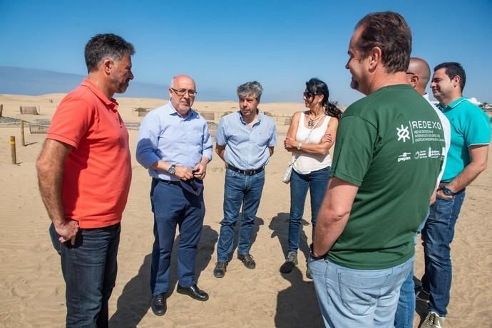 Segunda fase del proyecto de recuperación de las dunas de Maspalomas