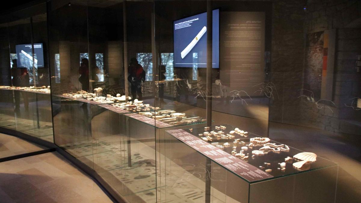 Les fotos de la inauguració del nou Museu Arqueològic de Banyoles