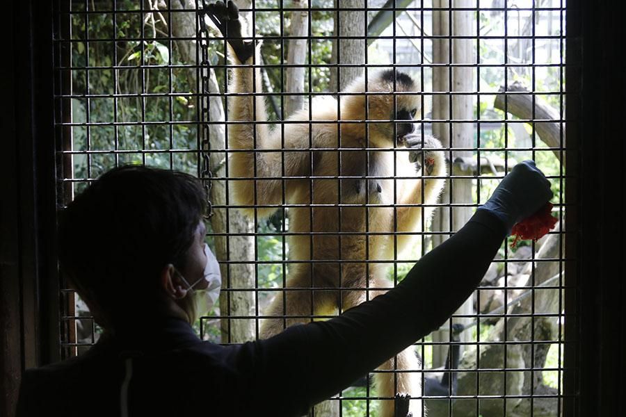 Coronavirus en Córdoba: los animales del zoológico siguen con su rutina diaria