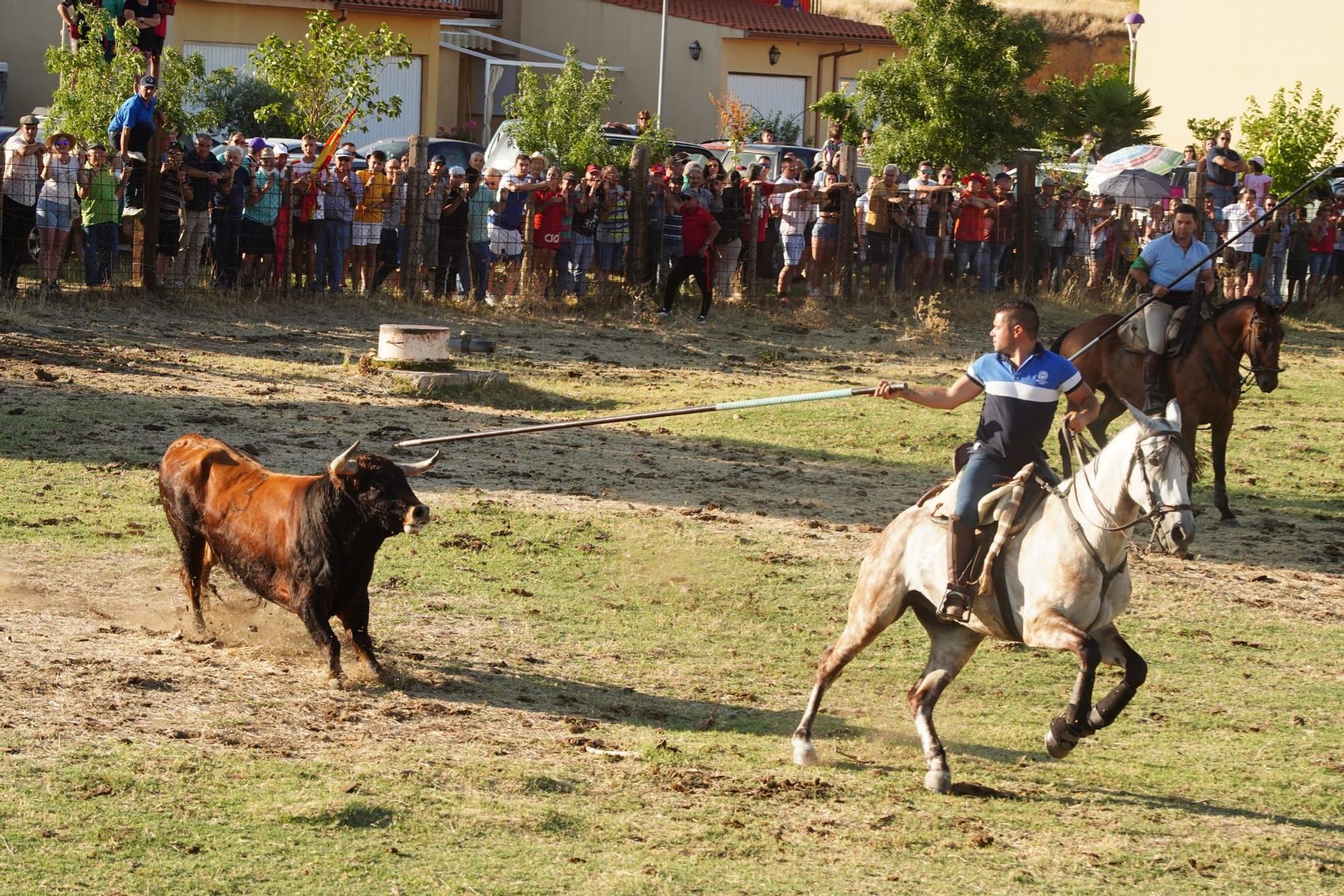 Vibrante encierro mixto en Venialbo