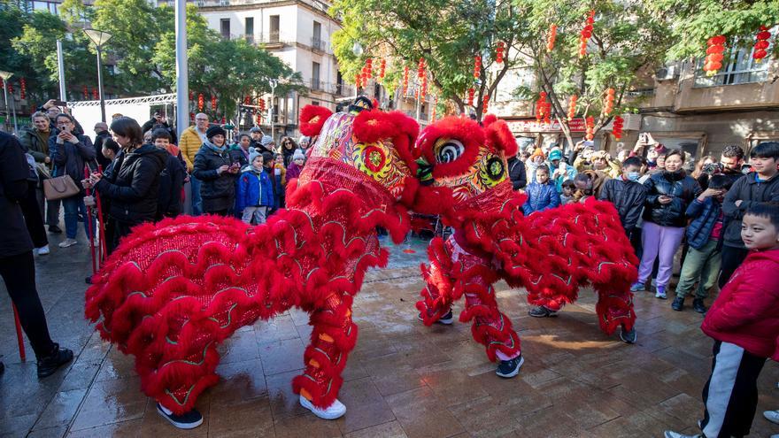 Pere Garau se convierte en Pekín en el desfile del Año Nuevo Chino en Palma
