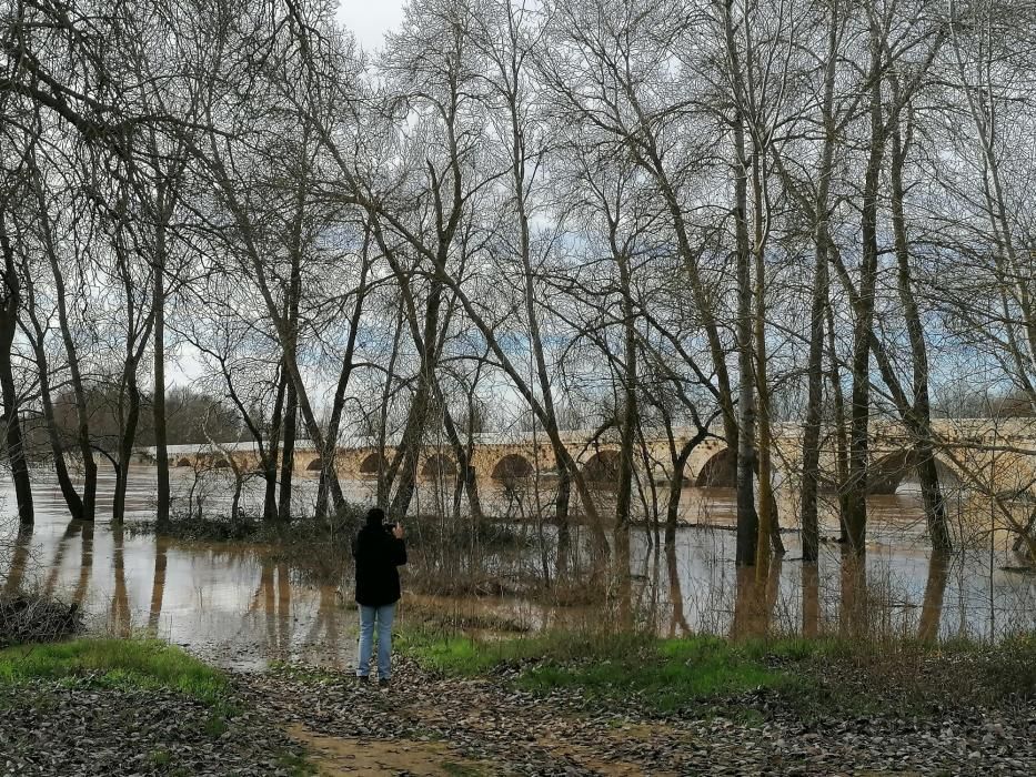 El río Duero a su paso por Toro.