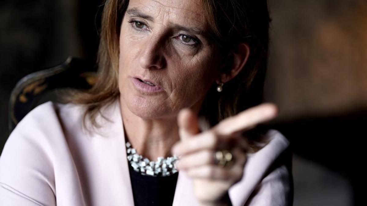 Teresa Ribera, ministra de Transición Ecológica y Reto Demográfico.