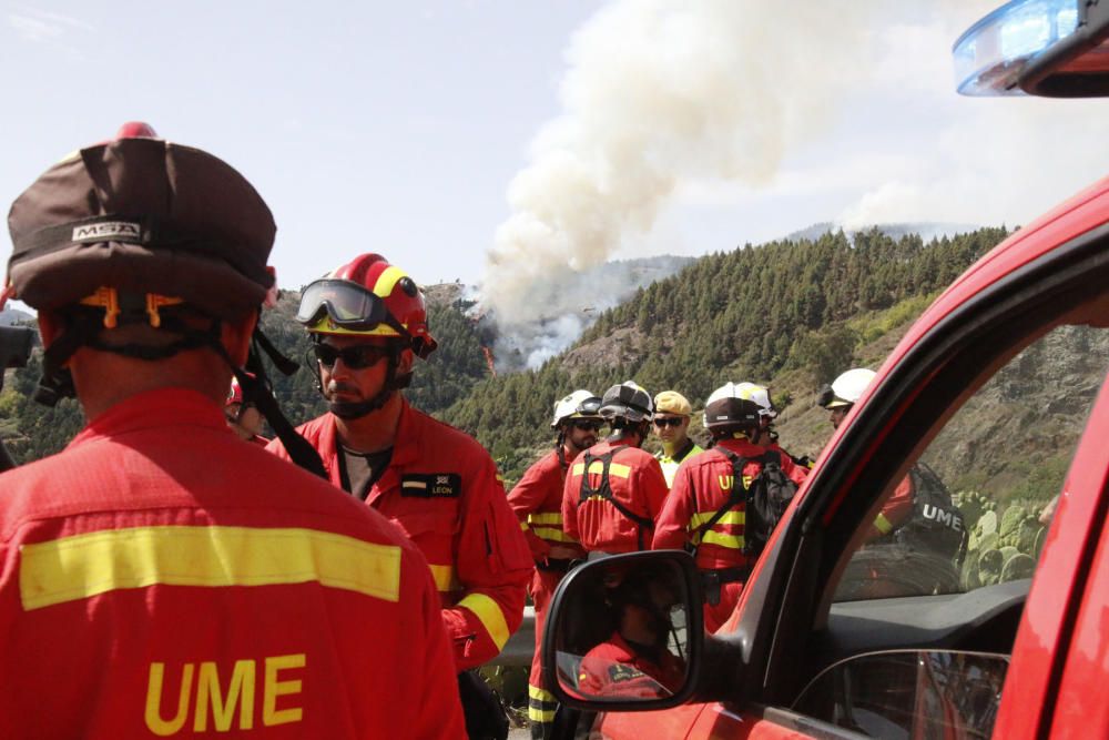 Un devastador incendio arrasa Gran Canaria.