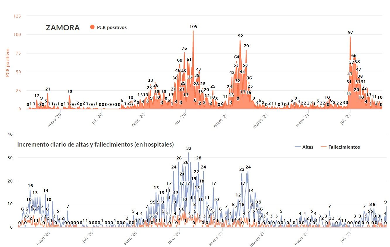 Evolucion de la pandemia en la capital. Debajo, evolución de altas hospitalarias y fallecimientos