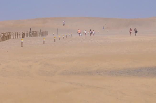 Reportaje excursiones con camellos en las Dunas ...