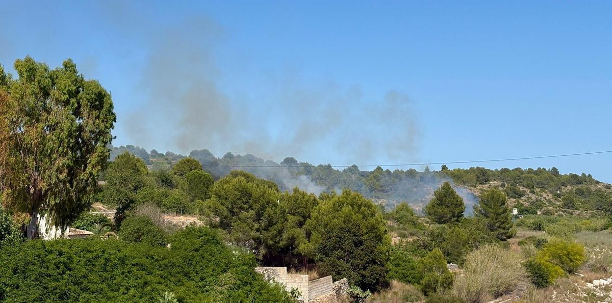 El fuego afecta a una zona forestal