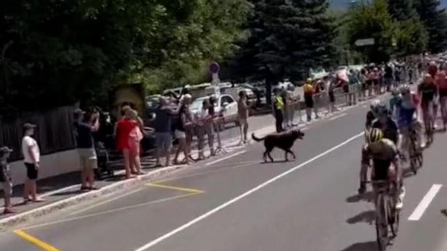 ¡Espeluznante! La tragedia planea sobre el Tour de Francia