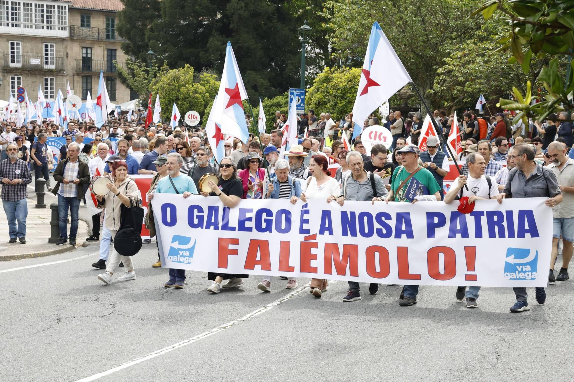 Miles de persoas toman as rúas de Santiago en defensa do galego