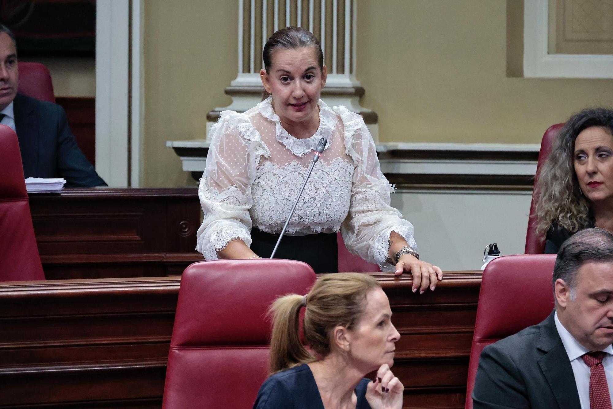 Pleno del Parlamento (29/10/25)
