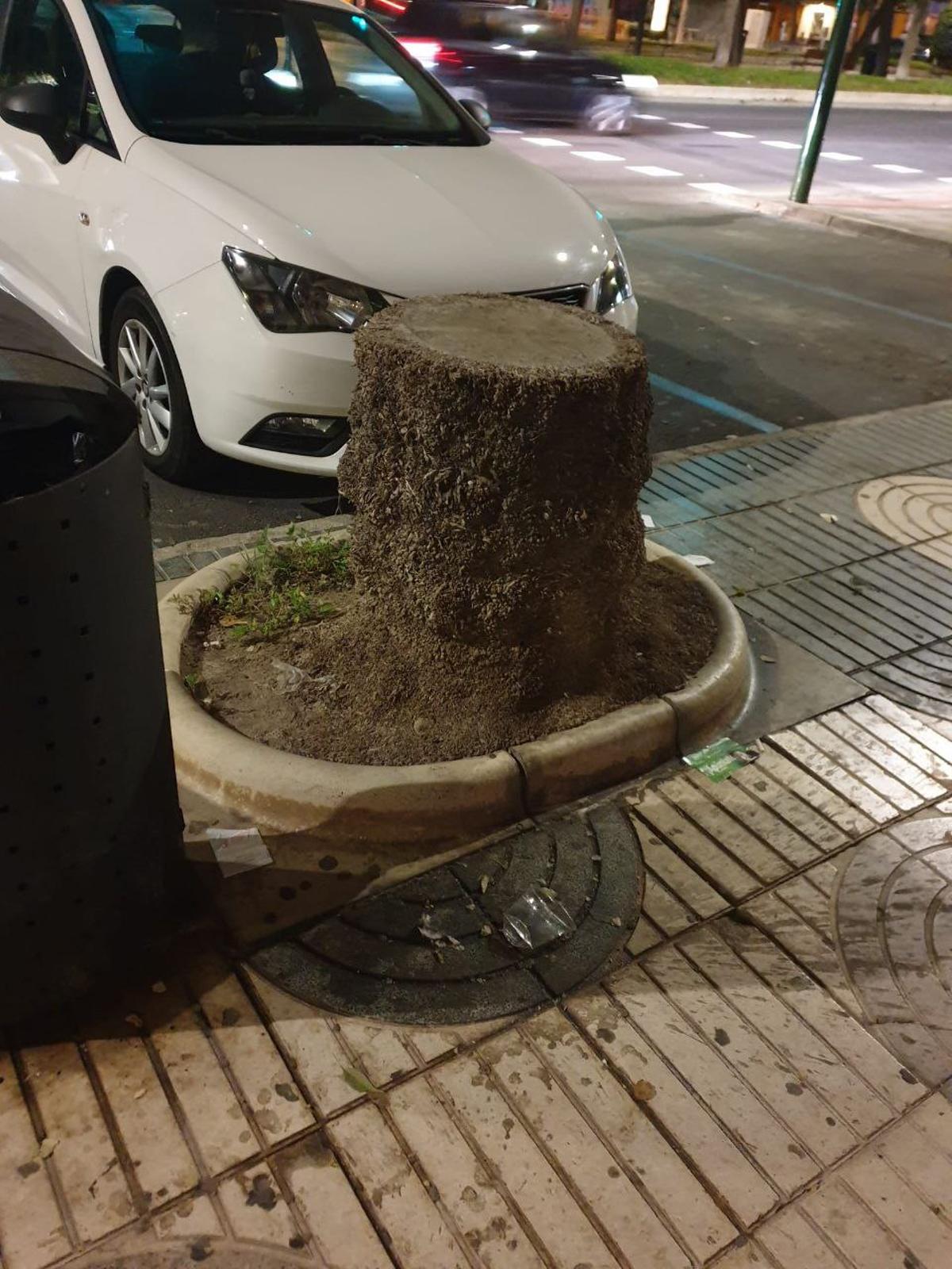 Se han perdido árboles y las aceras presentan desperfectos