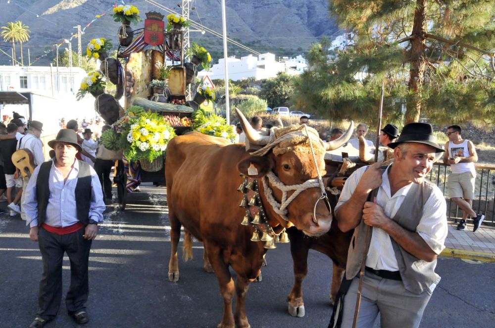 El Valle de Agaete celebra la tradicional romería ofrenda a San Pedro