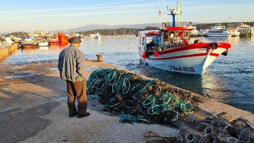 O Grove, el puerto por excelencia para el centollo