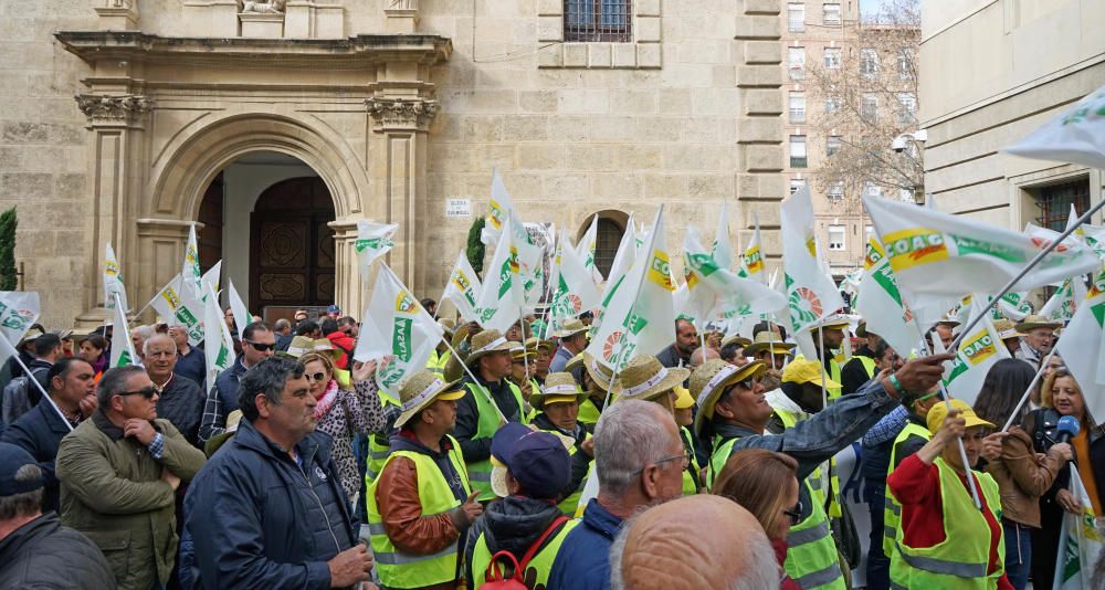 Así ha sido la manifestación de los agricultores