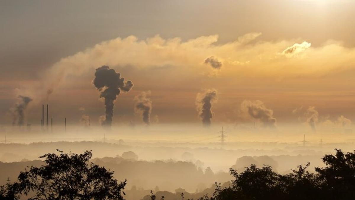 ¿Qué es exactamente la neutralidad en carbono?