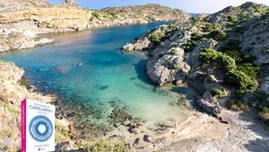 095-jugadora-ii-1889-digital