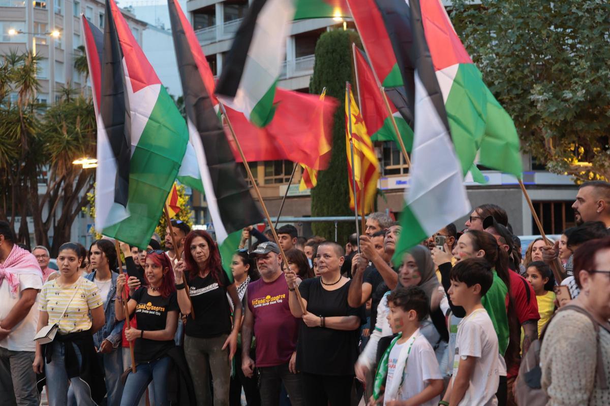 Decenas de personas muestran su apoyo al pueblo palestino en una ...