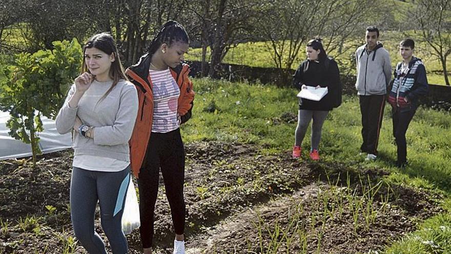 Dos alumnas revisan el estado de la huerta que cultivan en el instituto.