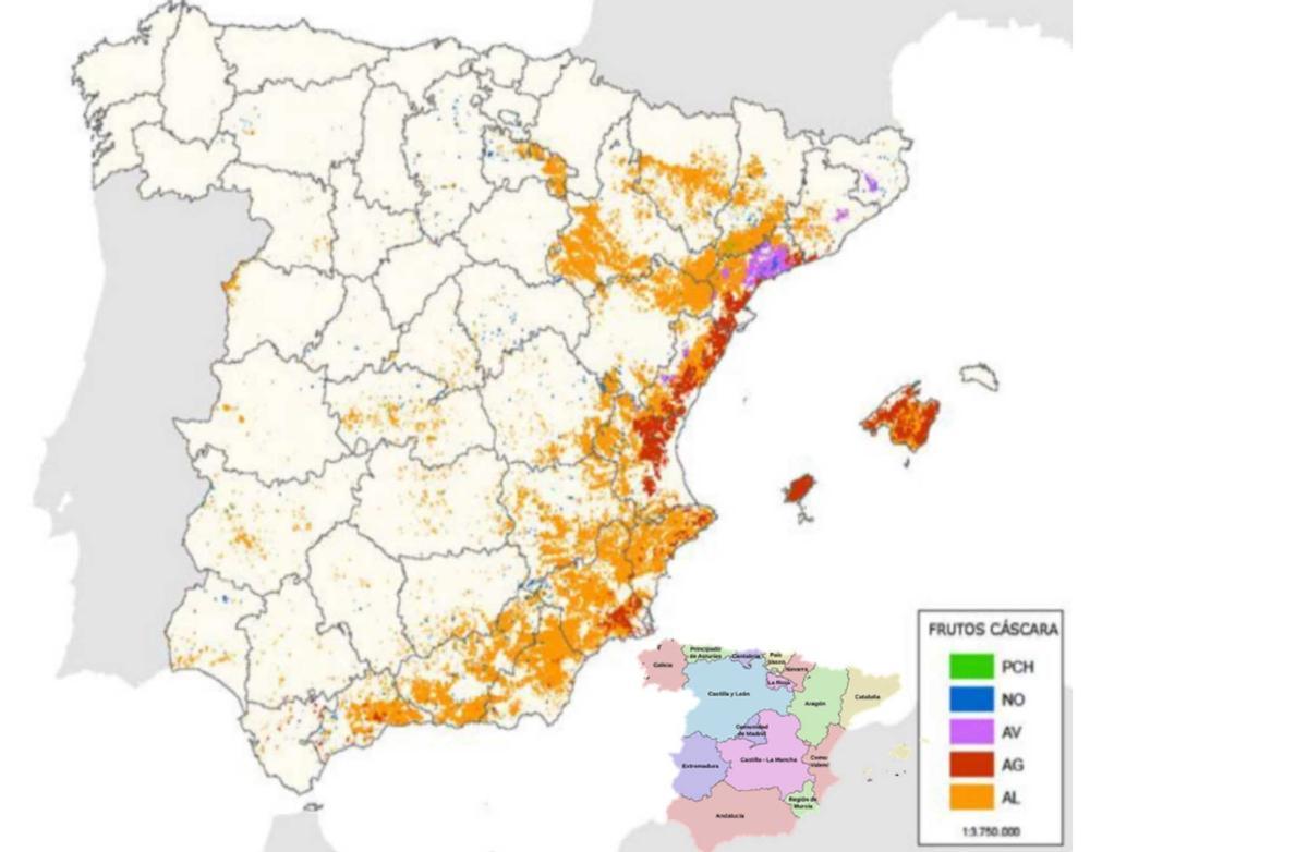 Área de producción de almendra en España
