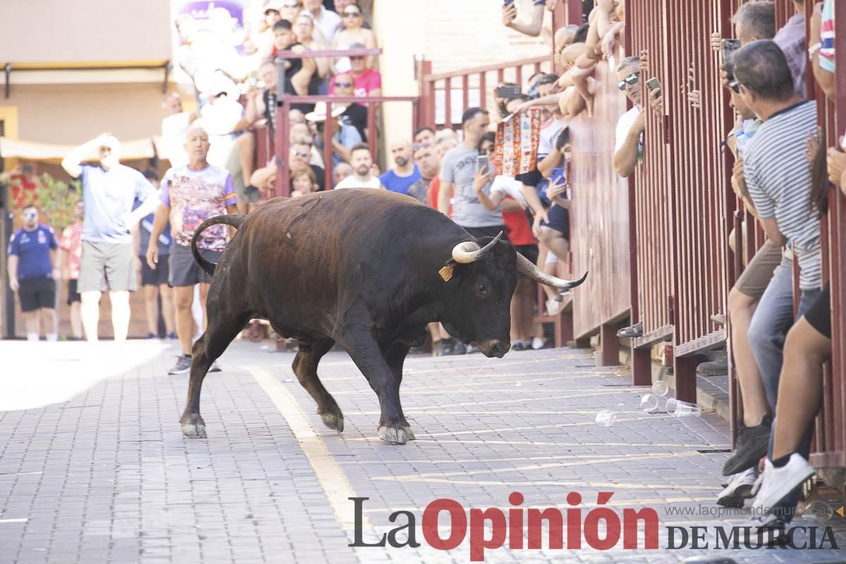Tercer encierro de las Fiestas de Moratalla